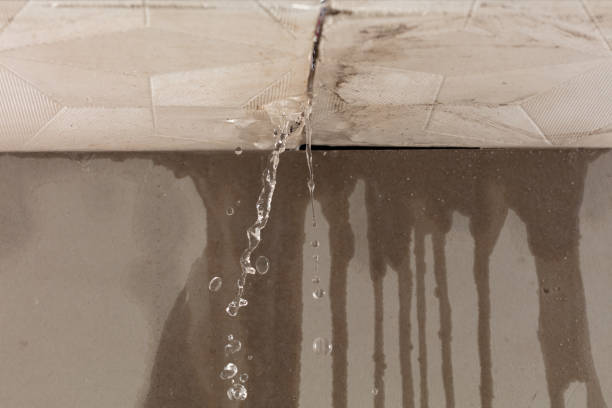 Professional Burst Pipe Cleanup technician working in Hope, MI